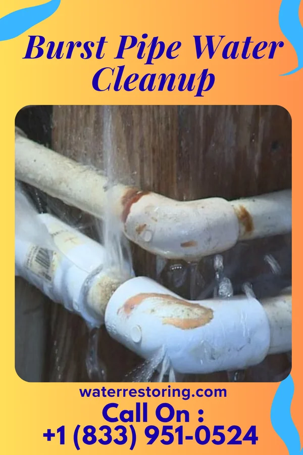 Burst Pipe Water Cleanup in Jackson, SC