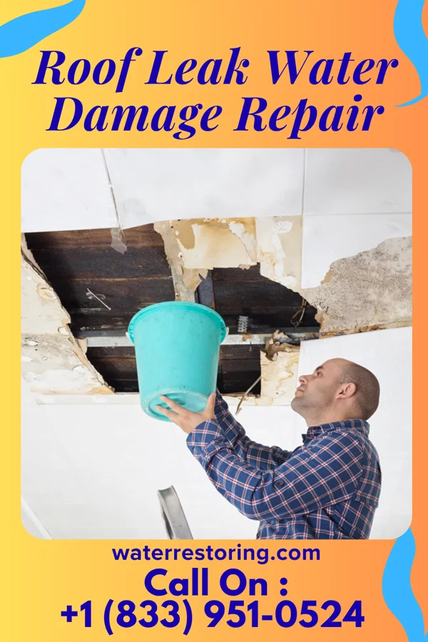 Roof Leak Water Damage Repair in Jackson, SC
